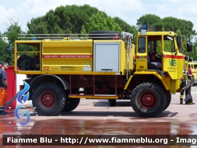 Iveco 80-17 
VAB Colline Medice (FI)
Parole chiave: Iveco 80-17 protagonisti_della_sicurezza_2011