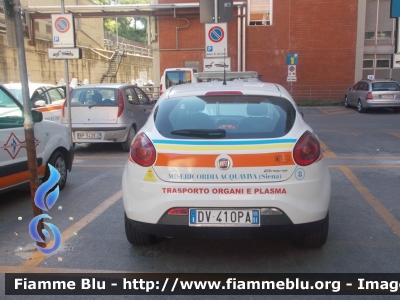 Fiat Nuova Bravo
Misericordia di Acquaviva (SI)
Trasporto organi e plasma
Allestita Nepi
CODICE AUTOMEZZO: 8
Parole chiave: Fiat Nuova_Bravo