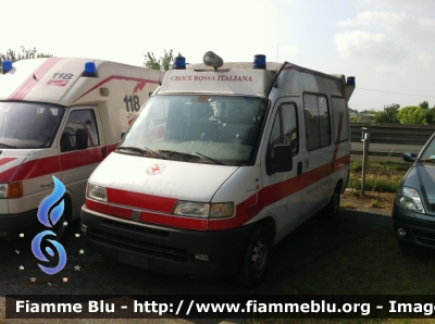 Fiat Ducato II Serie
Croce Rossa Italiana 
Delegazione di Montecatini Terme e Massa e Cozzile (PT)
Allestita Savio
CRI 14292
"Veicolo Dismesso"
Parole chiave: Fiat Ducato_IIserie Ambulanza CRI14292