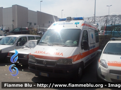 Fiat Ducato III serie  
 Sos Pavese San Martino Siccomario (PV)
Allestita Orion
Parole chiave: Fiat Ducato_IIIserie Ambulanza