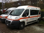 ducato_x250_ss.jpg