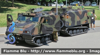 Hagglunds & Soner BV206S
Esercito Italiano
EI 119437
Parole chiave: Hagglunds & Soner BV206S Esercito Italiano EI 119437