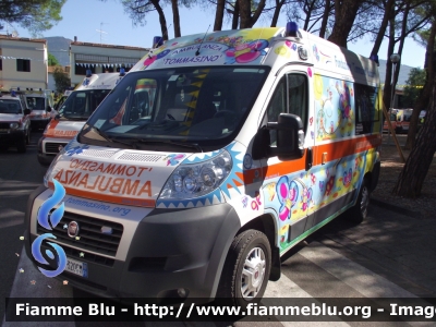 Fiat Ducato X250
Misericordia Quinto (FI)
"Fondazione Tommasino Bacciotti"
Allestita Cevi Carrozzeria Europea

Parole chiave: Fiat Ducato_X250 Ambulanza