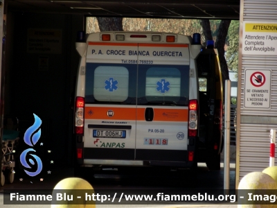 Fiat Ducato X250
Croce Bianca Querceta (LU)
Allestita Mariani Fratelli
Parole chiave: Fiat Ducato_X250 Ambulanza