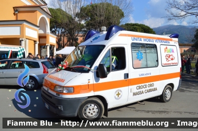 Fiat Ducato II serie
Croce d'Oro Massa
Ambulanza Veterinaria "PIMPA"
Allestita Aricar
Parole chiave: Fiat Ducato_IIserie Ambulanza