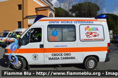 Fiat Ducato II serie
Croce d'Oro Massa
Ambulanza Veterinaria "PIMPA"
Allestita Aricar
Parole chiave: Fiat Ducato_IIserie Ambulanza