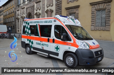 Fiat Ducato X250
9 - Pubblica Assistenza Croce Verde Lucca
Allestita MAF
Parole chiave: Fiat Ducato_X250 PA_Croce_Verde_Lucca