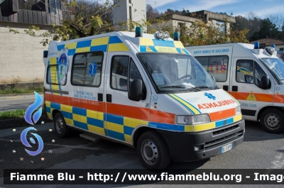 Fiat Ducato II serie
Misericordia Borgo a Mozzano (LU)
Sezione Valditurrite
Allestita Bollanti
Ricondizionata Nepi Allestimenti
Ex Misericordia Cagliari
Parole chiave: Fiat Ducato_IIserie Misericordia_Borgo_a_Mozzano