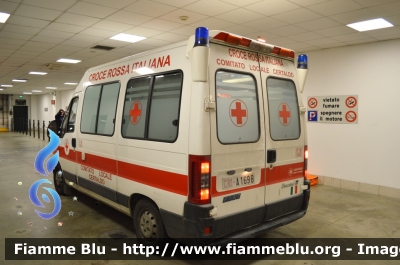 Fiat Ducato III serie
Croce Rossa Italiana
Comitato Locale di Certaldo
Allestita Alessi e Becagli
CRI A169B
Parole chiave: Fiat Ducato_IIIserie Ambulanza CRIA369B