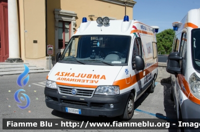 Fiat Ducato III serie
Croce d'Oro Massa
Ambulanza Veterinaria
Allestito Orion
Parole chiave: Fiat Ducato_IIIserie