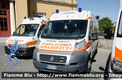 Fiat Ducato X250
Croce d'Oro Massa
Ambulanza Veterinaria
Allestito Orion
Parole chiave: Fiat Ducato_X250