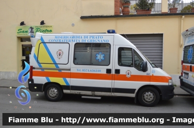 Fiat Ducato III serie
Misericordia di Grignano (PO)
Allestita MAF
Parole chiave: Fiat Ducato_IIIserie Ambulanza