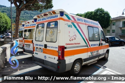 Fiat Ducato III serie
Croce d'Oro Massa
Ambulanza Veterinaria
Allestito Orion
Parole chiave: Fiat Ducato_IIIserie