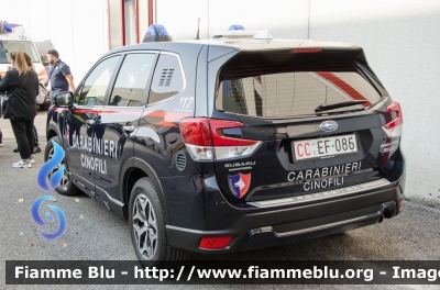 Subaru Forester e-Boxer
Carabinieri
Nucleo Cinofili
Allestimento Cita Sedonda
CC EF 086
Parole chiave: Subaru Forester_E_Boxer CCEF086