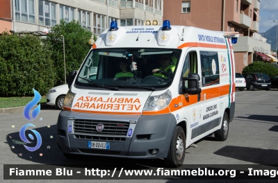 Fiat Ducato X250
Croce d'Oro Massa
Ambulanza Veterinaria
Allestito Orion
Parole chiave: Fiat Ducato_X250