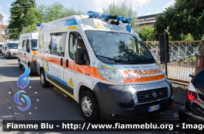 Fiat Ducato X250
Misericordia Mezzana (PO)
Allestito Mariani Fratelli
Parole chiave: Fiat Ducato_X250