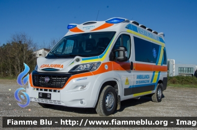 Fiat Ducato X290
Misericordia Lari (PI)
Allestita Bollanti
Parole chiave: Fiat Ducato_X290 Misericordia_Lari