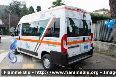 Fiat Ducato X290
Società di Mutuo Soccorso Croce Azzurra Pontassieve (FI)
Allestito Mariani Fratelli
Parole chiave: Fiat Ducato_X290