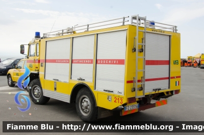 Iveco 80-17
213 - VAB Castiglione della Pescaia (GR)
Antincendio Boschivo - Protezione Civile
Allestito Fulmix
Parole chiave: Iveco 80_17