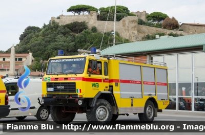 Iveco 80-17
213 - VAB Castiglione della Pescaia (GR)
Antincendio Boschivo - Protezione Civile
Allestito Fulmix
Parole chiave: Iveco 80_17