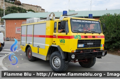 Iveco 80-17
213 - VAB Castiglione della Pescaia (GR)
Antincendio Boschivo - Protezione Civile
Allestito Fulmix
Parole chiave: Iveco 80_17