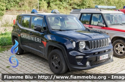 Jeep Renegade restyle
Carabinieri
Allestimento FCA
CC DY 291
Parole chiave: Jeep_Renegade restyle CCDY291