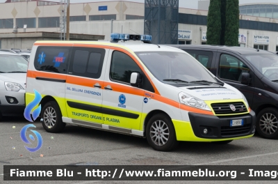 Fiat Scudo IV serie
Val Belluna Emergenza (BL)
Trasporto Organi e Plasma
Allestito Aricar
India 11
Parole chiave: Fiat Scudo_IVserie REAS_2018