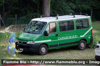 Fiat Ducato III serie
Carabinieri
Comando Carabinieri Unità per la tutela Forestale, Ambientale e Agroalimentare
CC DP 125
Parole chiave: Fiat Ducato_IIIserie CCDP125