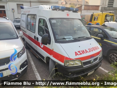 Fiat Ducato III serie
Croce Rossa Italiana
Comitato Locale di Faenza (RA)
Allestito Aricar
CRI A306B
Parole chiave: Fiat Ducato_IIIserie CRIA306B Alluvione_Emilia