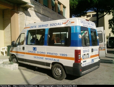 Fiat Ducato III serie
Pubblica Assistenza Croce D'Oro Prato
Sezione di Montale
Servizi Sociali
Allestito Pegaso Bollanti
Riallestito MARIANI FRATELLI
Parole chiave: Fiat Ducato_IIISerie Servizi_Sociali