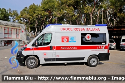 Fiat Ducato X290
Croce Rossa Italiana
Comitato Locale di San Benedetto del Tronto
CRI 795 AH
Allestimento Orion
Parole chiave: Fiat Ducato_X290 CRI795AH