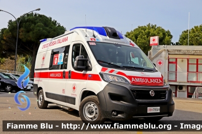 Fiat Ducato X290
Croce Rossa Italiana
Comitato Locale di San Benedetto del Tronto
CRI 795 AH
Allestimento Orion
Parole chiave: Fiat Ducato_X290 CRI795AH