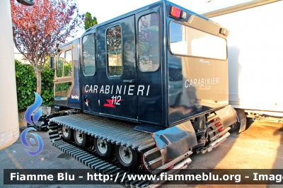 Prinoth Husky
Carabinieri
Soccorso Alpino
Parole chiave: Prinoth Husky