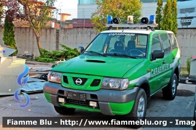 Nissan Terrano II serie restyle
Carabinieri
Comando Carabinieri Unità per la tutela Forestale, Ambientale e Agroalimentare
Parole chiave: Nissan Terrano_IIserie_restyle