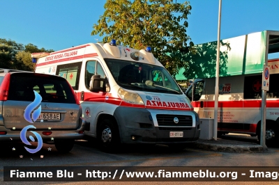 Fiat Ducato X250
Croce Rossa Italiana 
Comitato Locale di San Benedetto del Tronto
Sezione di Monteprandone
Allestimento Orion
CRI 051 AA
Parole chiave: Fiat Ducato_X250 Ambulanza CRI051AA