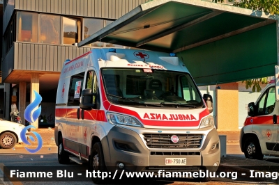 Fiat Ducato X290
Croce Rossa Italiana 
Comitato Locale di San Benedetto del Tronto
Sezione di Monteprandone
Allestimento Mariani Fratelli
CRI 790 AE
Parole chiave: Fiat Ducato_X290 Ambulanza CRI790AE