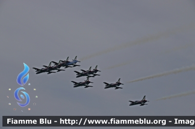 Aermacchi MB339PAN
Aeronautica Militare Italiana
313° Gruppo Addestramento Acrobatico
Stagione esibizioni 2019
Parole chiave: Aermacchi MB339PAN