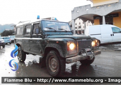 Land Rover Defender 110
Corpo Forestale dello Stato
Alluvione Val di Vara (Liguria)
Parole chiave: Land-Rover Defender_110