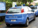 polizoa_punto.JPG