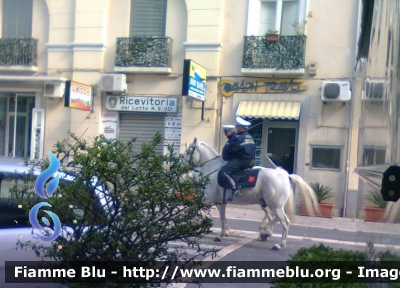 Agenti a cavallo
Polizia Municipale di Caserta
nucleo vigilanza a cavallo
