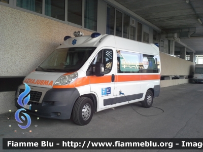 Fiat Ducato x250
Azienda USL n°9 Grosseto
Ospedale "Misericordia"
Ambulanza per trasferimenti allestita Bollanti

Parole chiave: Fiat Ducato_x250