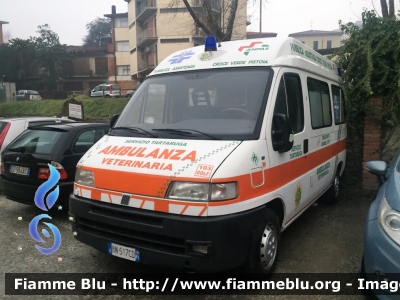 Fiat Ducato II serie  
Pubblica Assistenza 
Croce Verde Pistoia (PT)
Ambulanza Veterinaria
Allestita Mariani Fratelli
Ambulanza precedentemente appartenuta all Misericordia di Pisa
Parole chiave: Fiat Ducato_II 