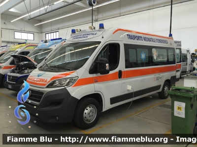 Fiat Ducato X290
Azienda Ospedaliera Santa Croce e Carle - Cuneo
Trasporto Neonatale
Allestita Maf

Parole chiave: Fiat Ducato_X290