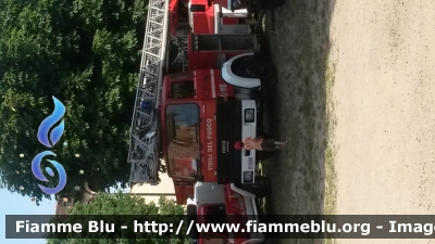 Iveco 140-19
Vigili del Fuoco
Comando Provinciale di Pavia
Distaccamento Volontario di Mortara (PV)
AutoScala allestimento Magirus
VF 26806

Fotografata durante la manifestazione "Tutti in Campo!"
Parole chiave: Iveco 140-19 VF26806