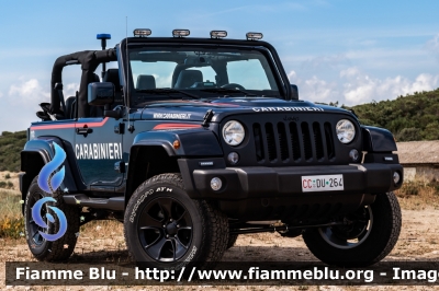 Jeep Wrangler IV serie
Carabinieri
CC DU 264
Parole chiave: Jeep Wrangler_IVserie CCDU264