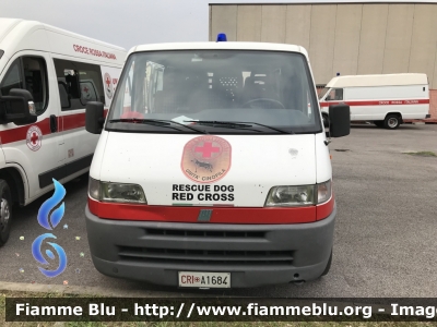 Fiat Ducato II serie
Croce Rossa Italiana
Sede di Nervesa della Battaglia (TV)
Unità Cinofile
CRI A 1684
Parole chiave: Fiat Ducato_IIserie CRIA1684