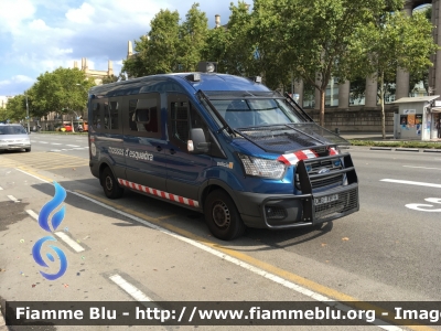 Ford Transit VIII serie
España - Spagna
Mossos d'Esquadra
CME 1914
Parole chiave: Ford Transit_VIIIserie CME1914