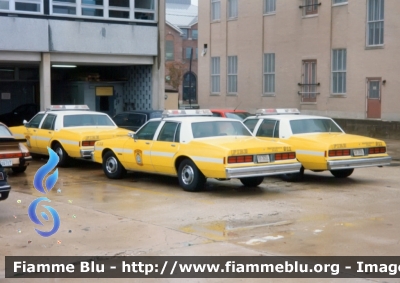 Ford Crown Victoria
United States of America - Stati Uniti d'America
Arlington County VA Fire Department
