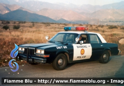 ??
United States of America - Stati Uniti d'America
Banning CA Police
