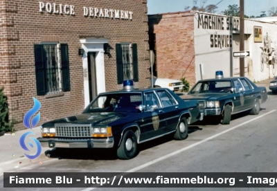 Ford LDT
United States of America - Stati Uniti d'America
Sommerville SC Police
